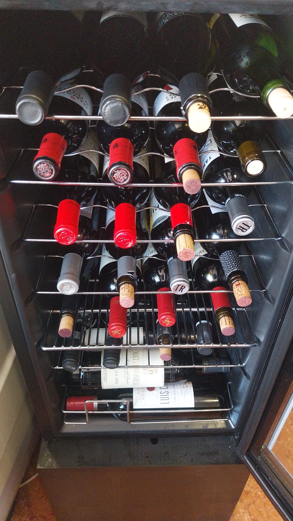 WhatsApp Image 2025-04-01 at 18.03.06 (1)